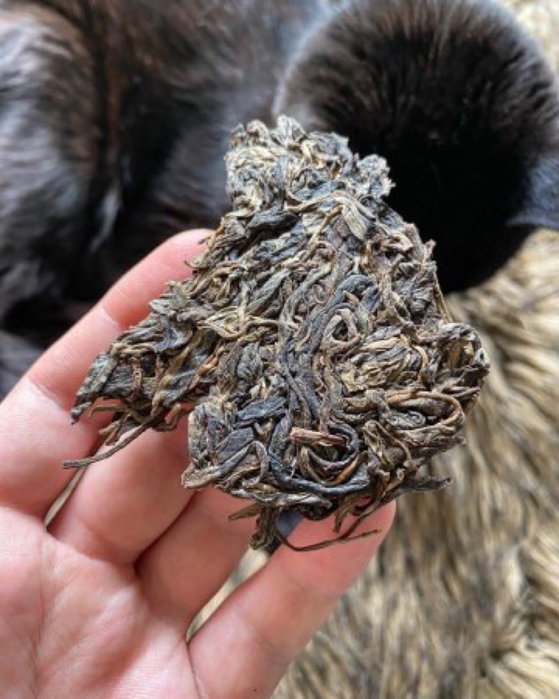 keek & dry leaf