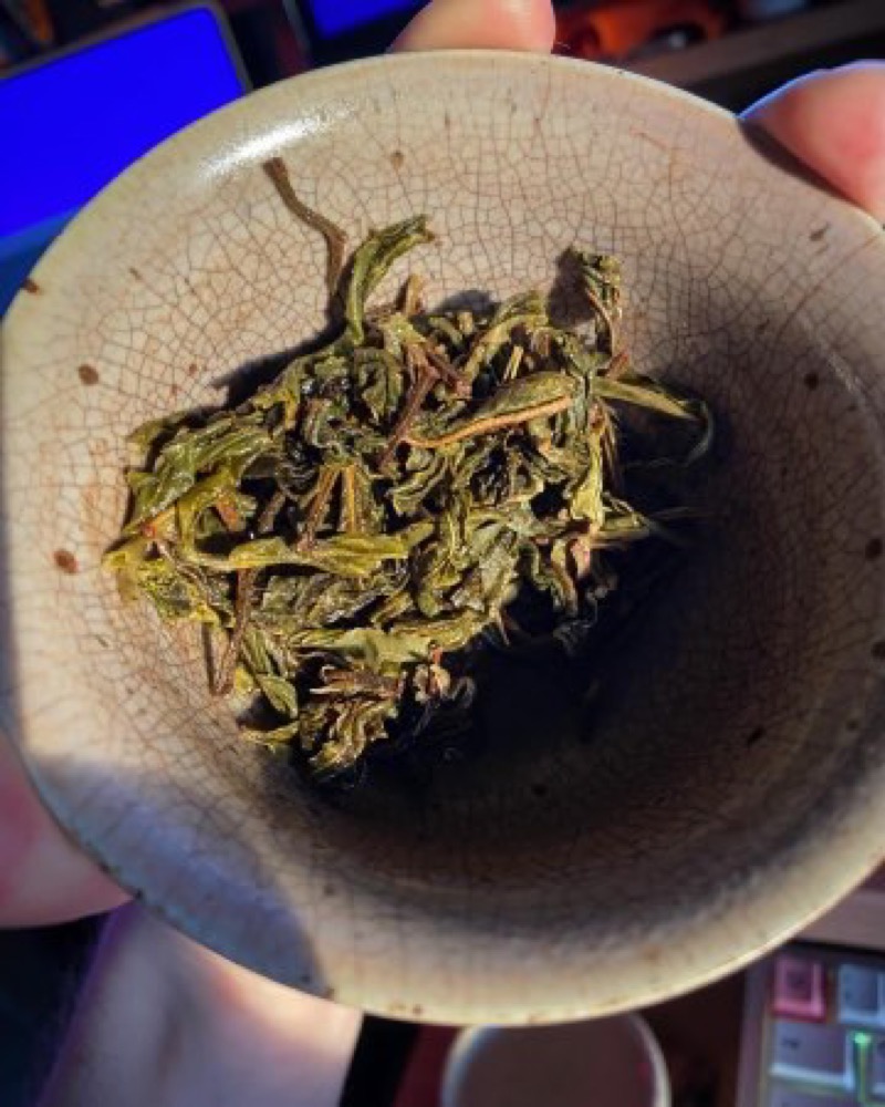 wet leaf in the gaiwan
