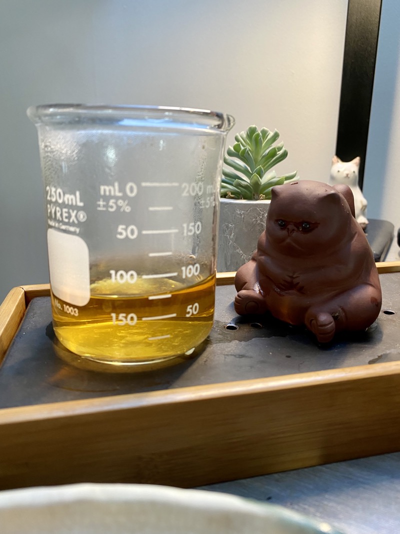 tea liquor in the beaker early in the session