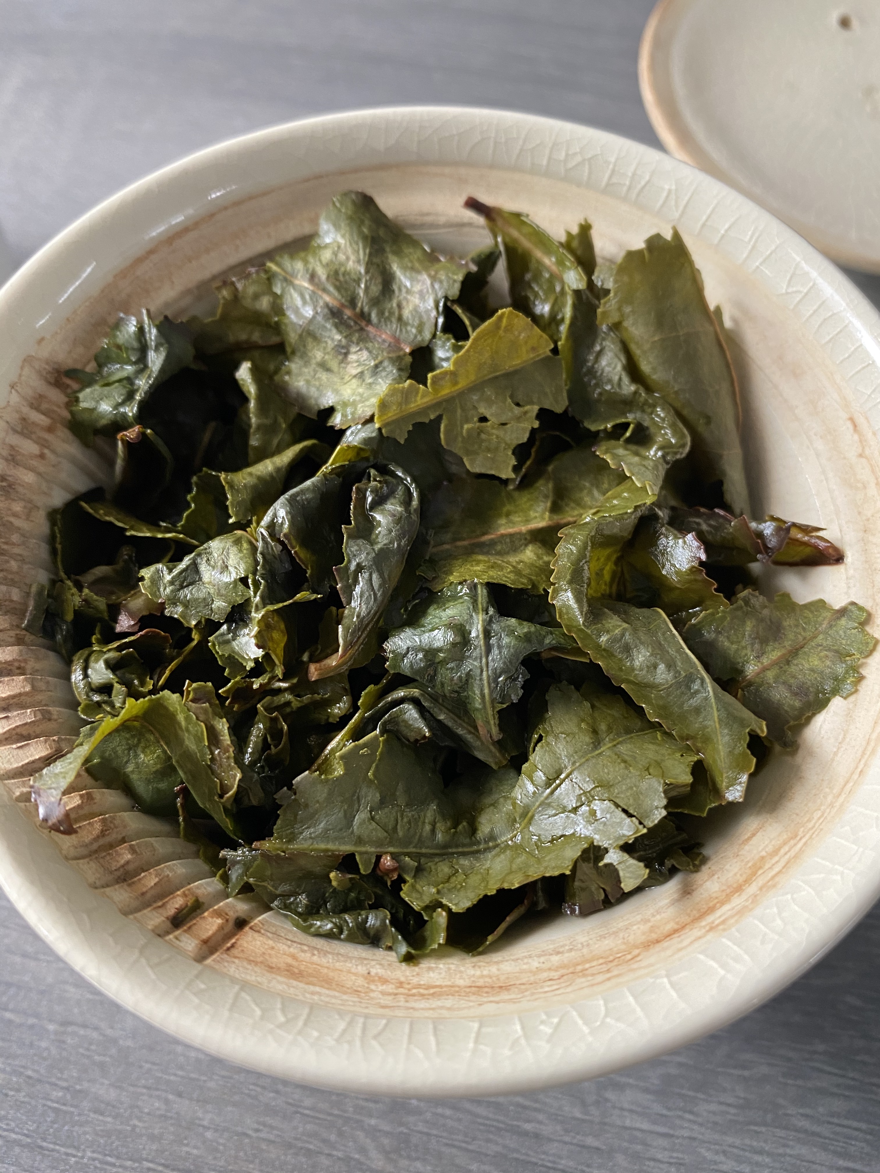 Completely expanded leaves taking up the whole gaiwan